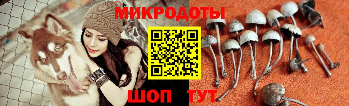 Казань  Псилоцибиновые грибы Cubensis  Вход с VPN  продажа наркотиков  Псилоцибиновые грибы Magic Shrooms 